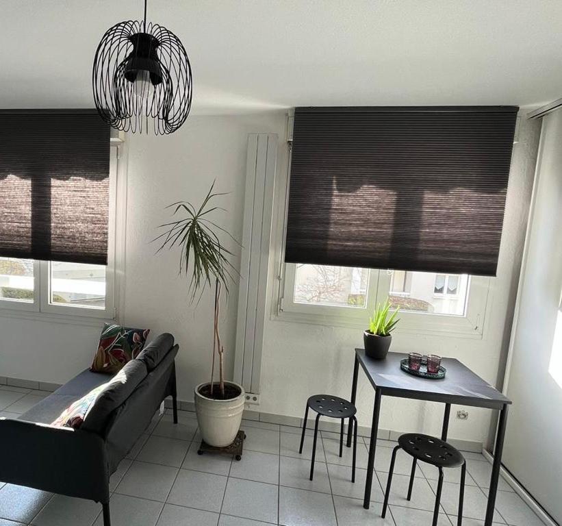Apartamento Zen-Itude Estrasburgo Exterior foto